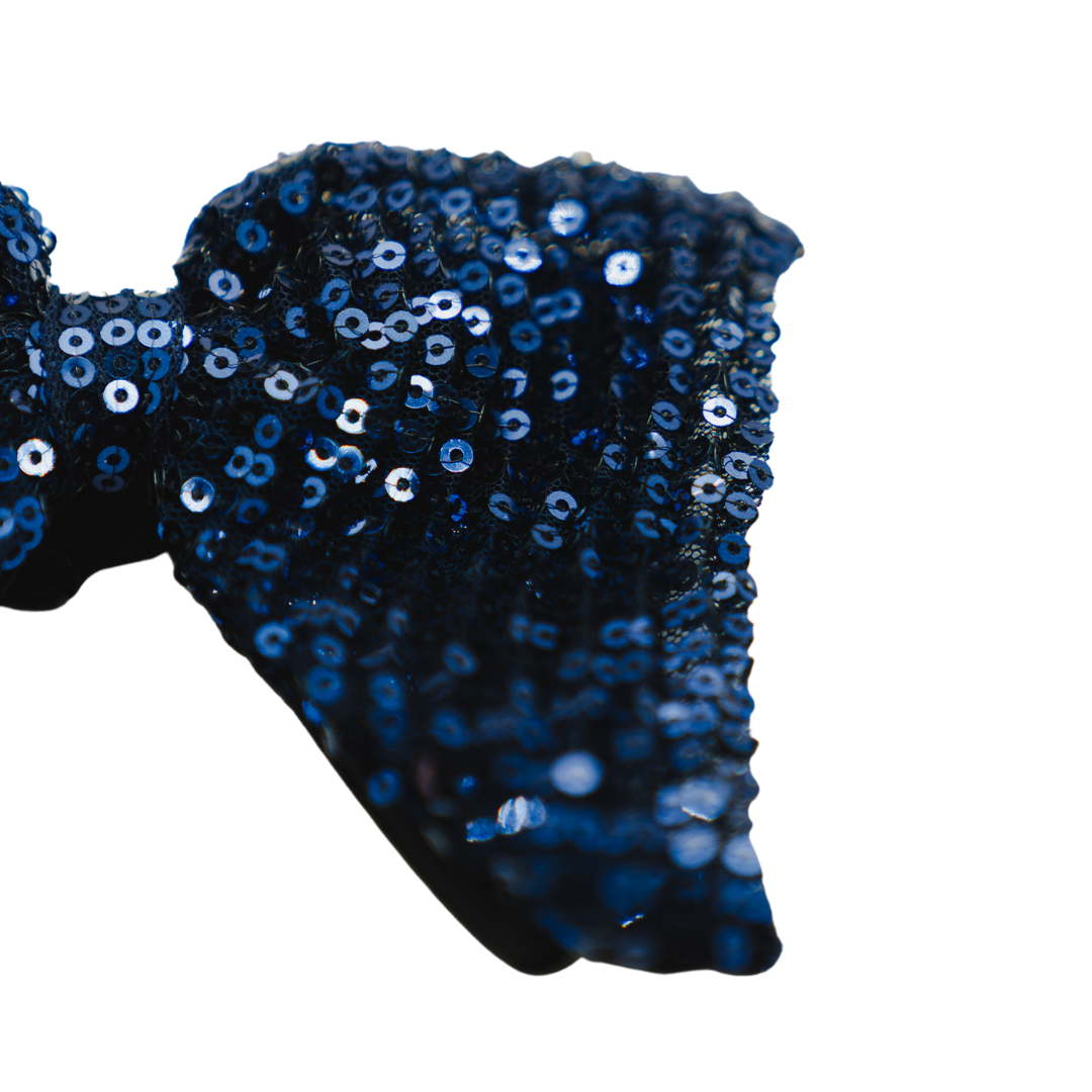 Ranier Bowties Blue and Blue